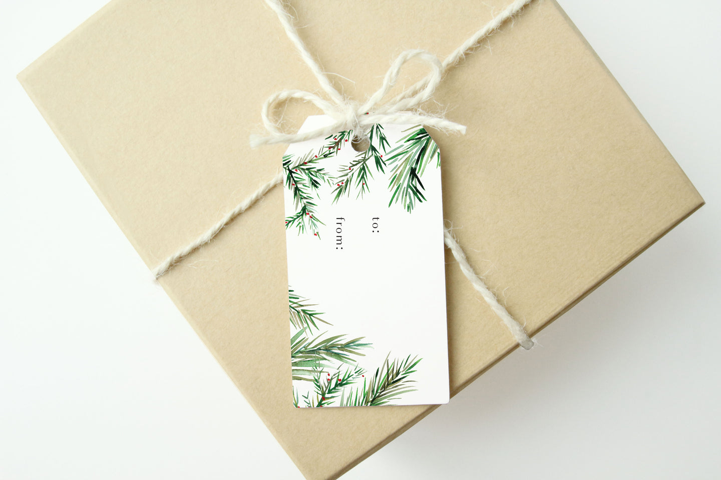 Winter Branches Gift Tags