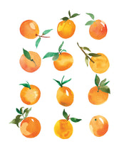 Load image into Gallery viewer, Clementine No. 2 Watercolor Art Print
