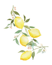 Load image into Gallery viewer, Lemon No. 1 Watercolor Fruit Art Print
