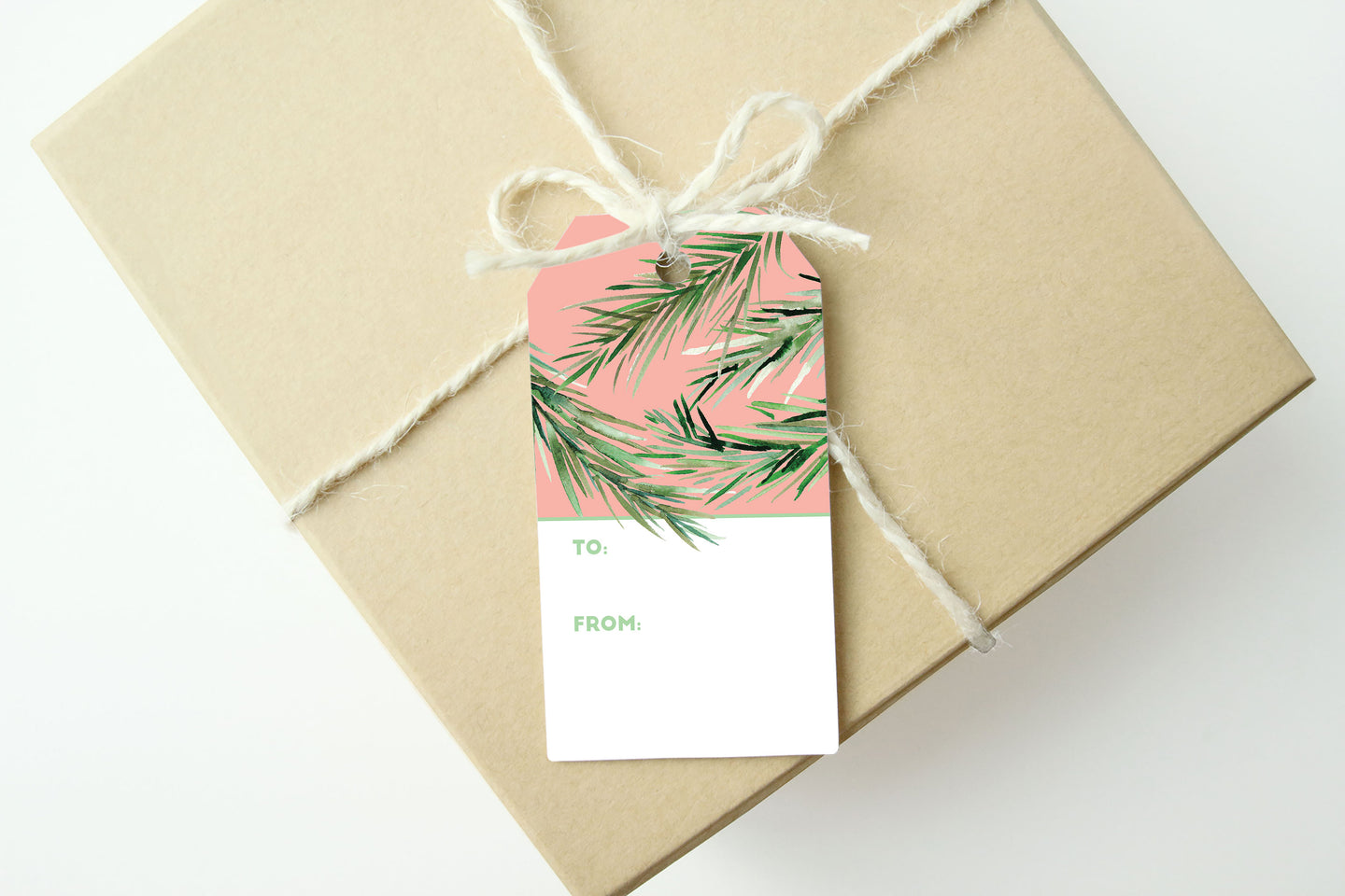 Peachy Branches Gift Tags